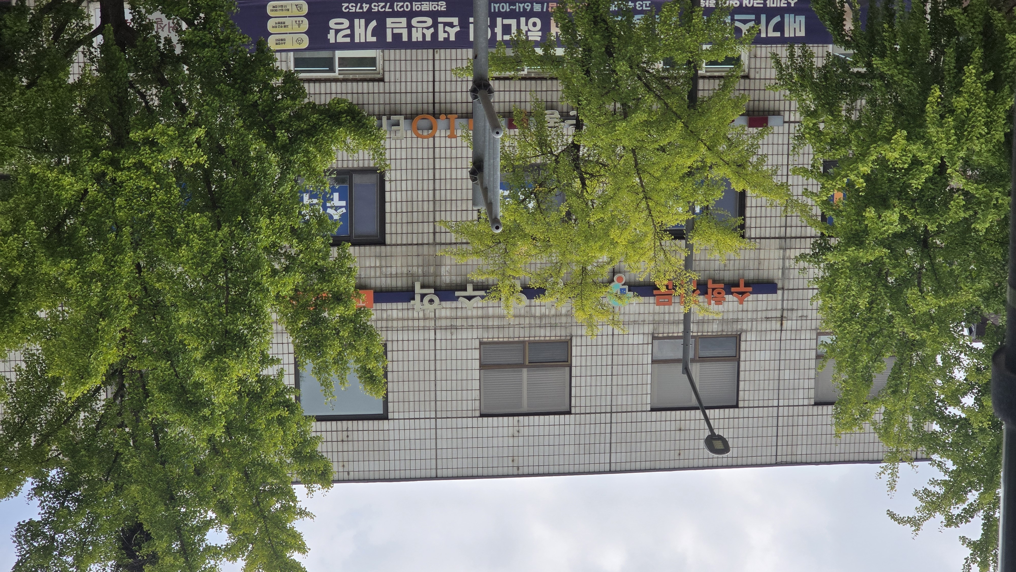 Why Mathematics Can Decide a Korean Student’s University — and Why Math Academies Remain a Powerful Franchise Business